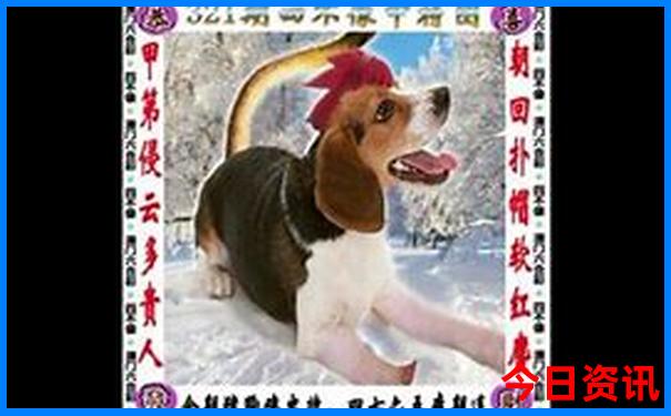 中国旅游城市排行榜前十名